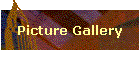 Picture Gallery